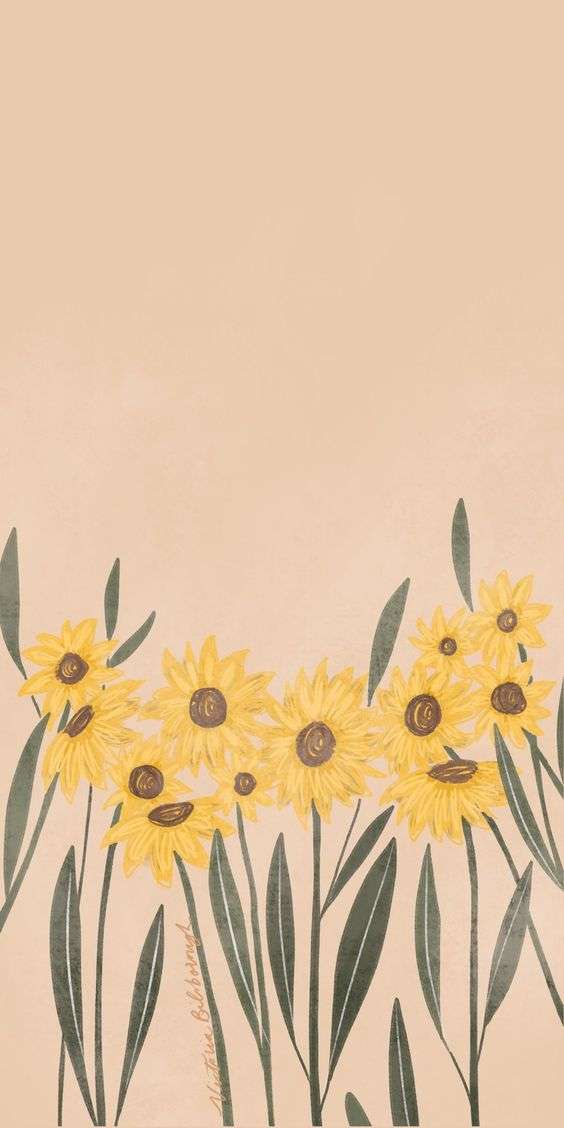 sunflower wallpaper