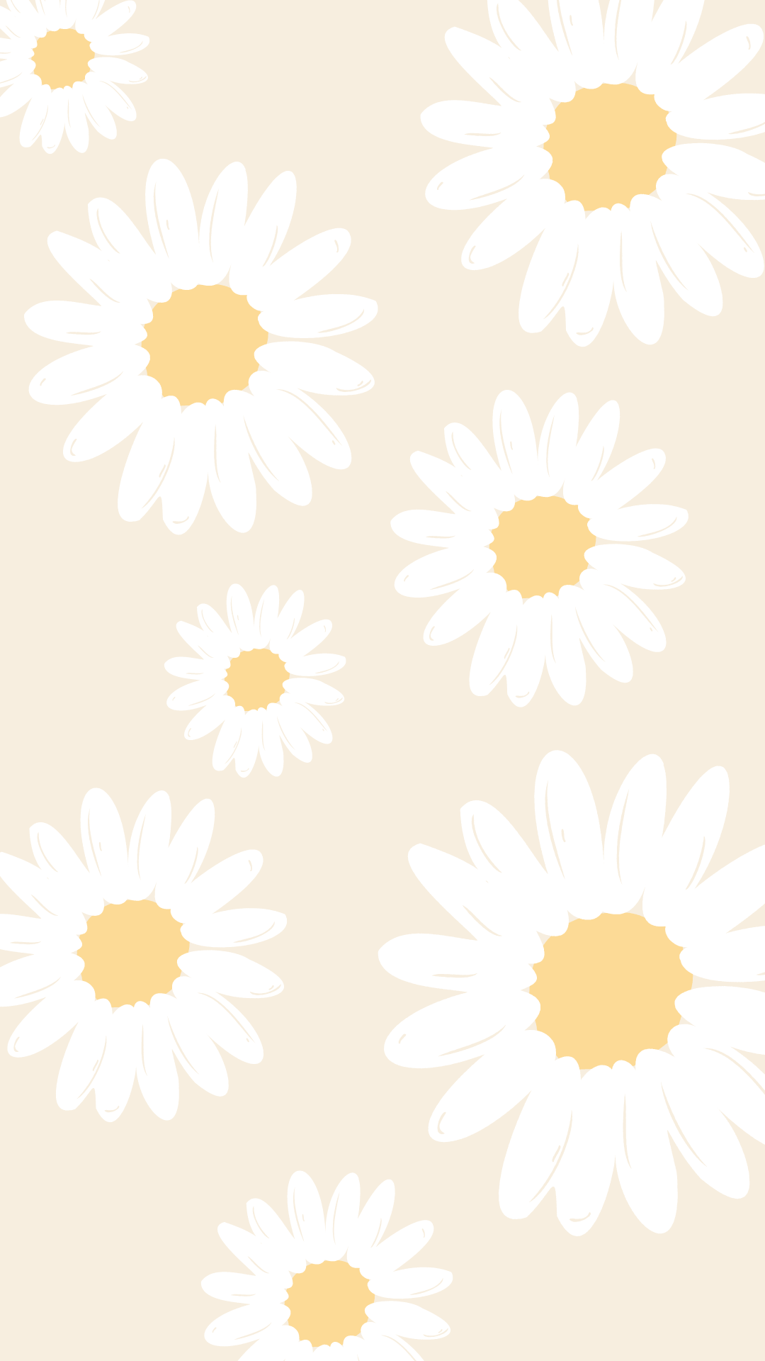 daisies wallpaper for ihpone