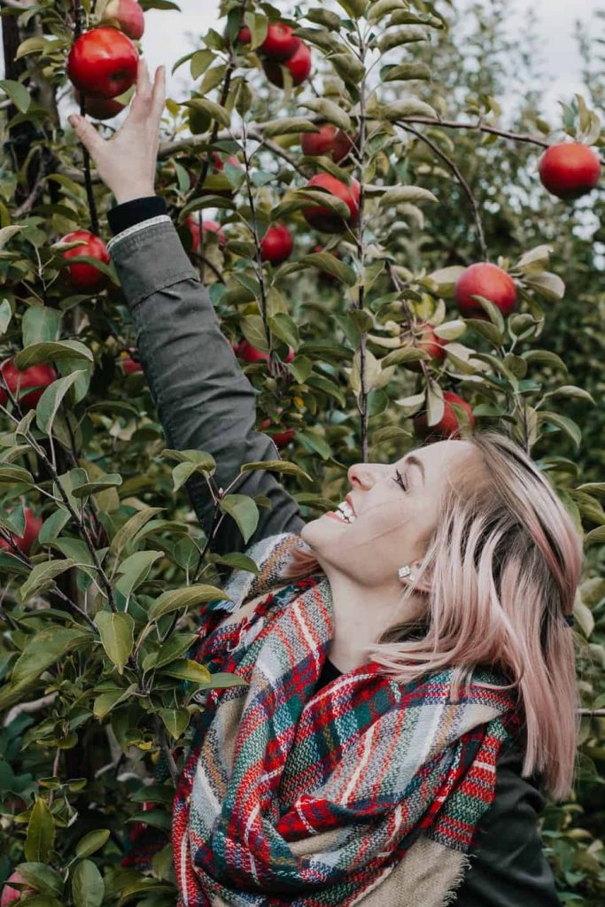 apple picking girl in scraf